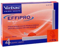 EFFIPRO paikallisvaleluliuos 100 mg/ml Pipetti 4 x 0.67 ml